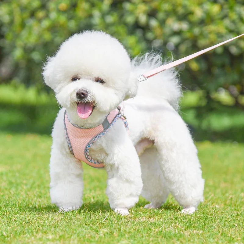 Petskape GlowPaw Reflective Harness Set