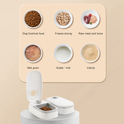 Petskape Automatic Pet Feeder with Timer