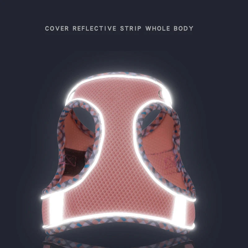 Petskape GlowPaw Reflective Harness Set