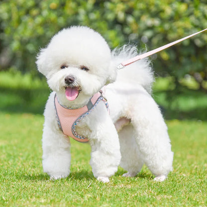 Petskape GlowPaw Reflective Harness Set